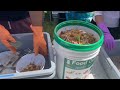 41st Oregon Asian Celebration brings culture, food and entertainment to Alton Baker Park