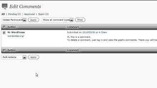 Maintenance Wordpress - 7 of 8 - Delete Spam Comments