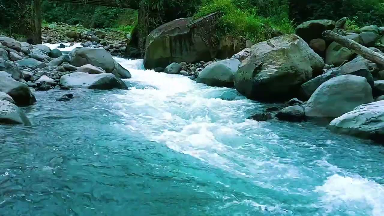 Forest River Sounds for Deep Sleep and Insomnia Relief All Night