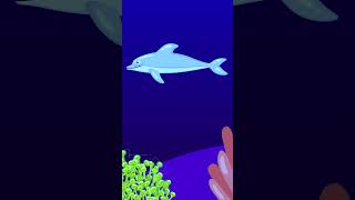 Lullaby Fish #shorts #short #shortvideo #ytshort #youtubeshorts #viral #trending #relaxing #lullaby