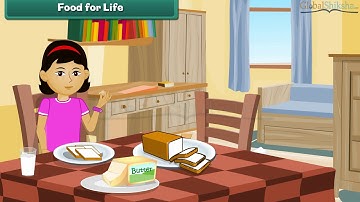 Class 3 EVS - Living and Non Living Things | Science For Kids