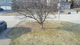 Bus 110 part 244