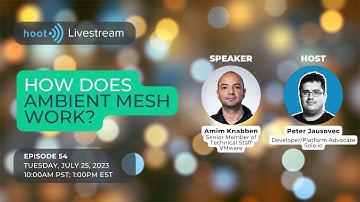 How does Istio Ambient Mesh work? | Solo.io