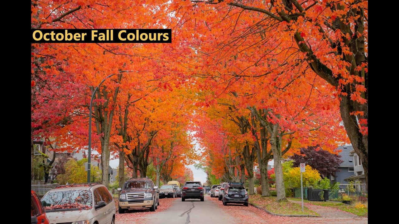 October Fall Colors in Vancouver, Canada