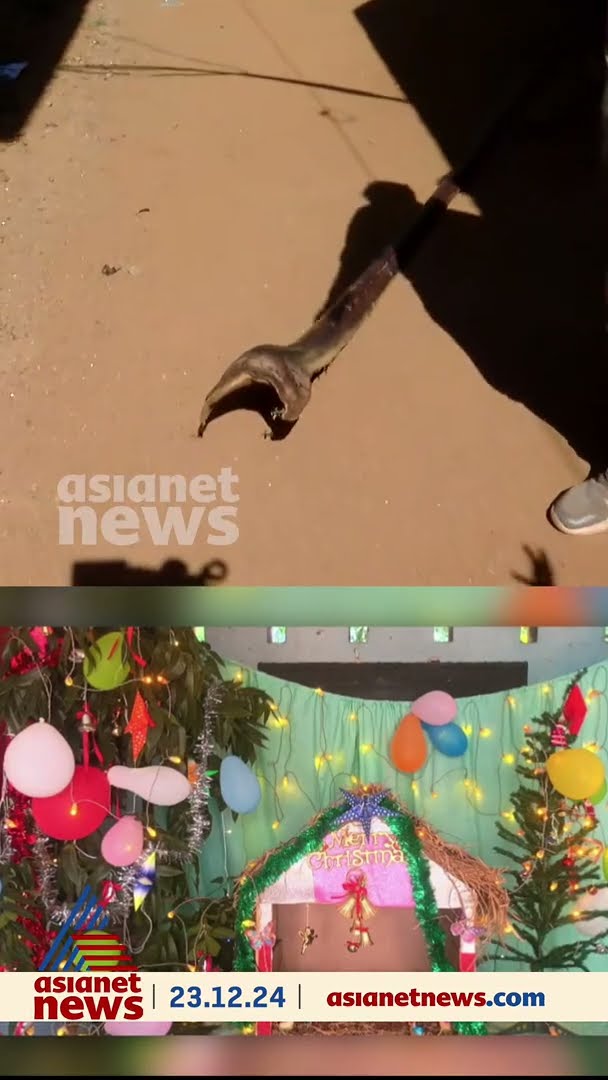 പാലക്കാട് തത്തമംഗലം GBUP സ്‌കൂളിൽ സ്ഥാപിച്ച ക്രിസ്മസ് പുൽക്കൂട് തകർത്തതായി പരാതി