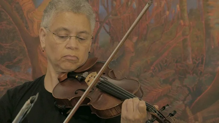 The Velda Kelly String Quartet