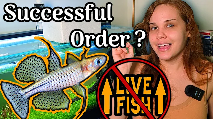 Rare Freshwater Fish Unboxing | Honest Review of O...