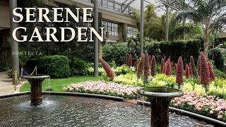 Serene Garden | Soft Piano & Gentle Water | SONTECTA screenshot 2