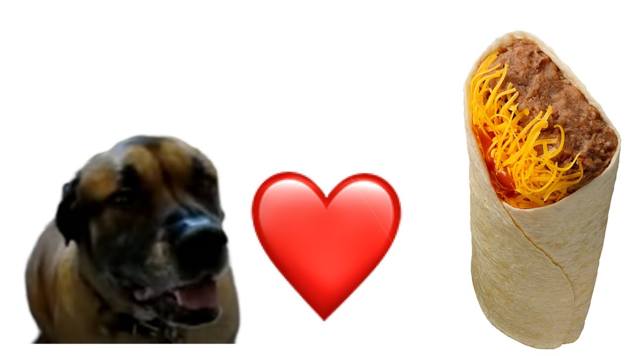 Bubba's Bean Burrito YouTube