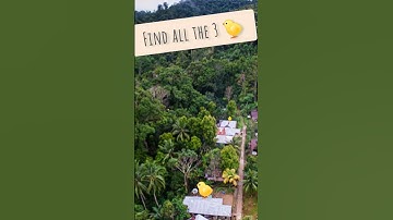 Try to find all the ducks ep47