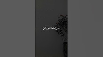 ﴿نُّورٌ عَلَىٰ نُورٖۚ﴾ شريف مصطفى|| سورة النور #quran #اجر_لي_ولك #حالات_واتس .