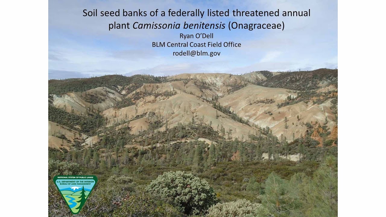 Soil seed banks of a federally listed Threatened annual plant, Camissonia benitensis