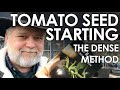 How to Start Tomato Seeds Indoors Densely || Black Gumbo