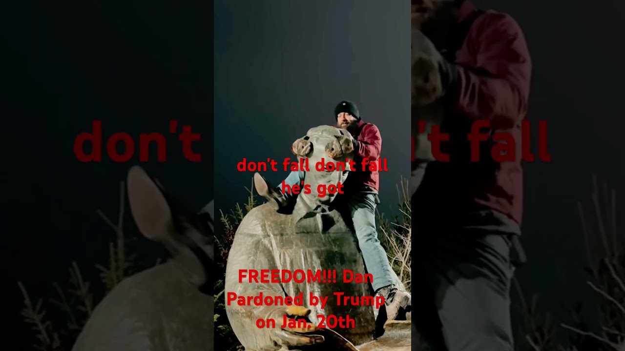 Journalist Dan Celebrates Freedom at Niagara Falls After Probation Ends