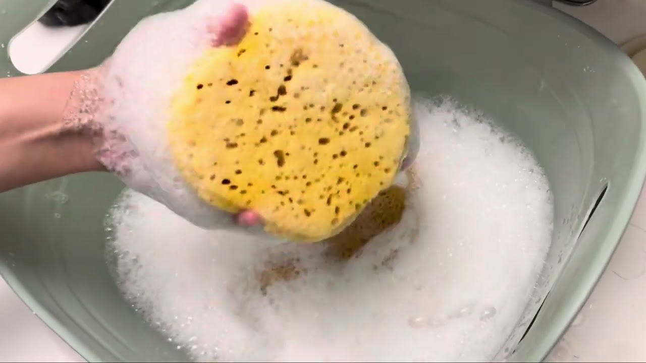 ASMR Saved Lemon product sponge squeezing 