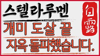 스텔라루멘[긴급속보] 개미 도살 끝났다. 지옥문 돌파했습니다. #스텔라루멘전망 #스텔라루멘코인 #스텔라루멘코인전망 #스텔라루멘