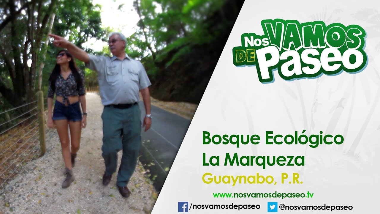 Bosque Ecologico La Marqueza, Guaynabo P.R. YouTube