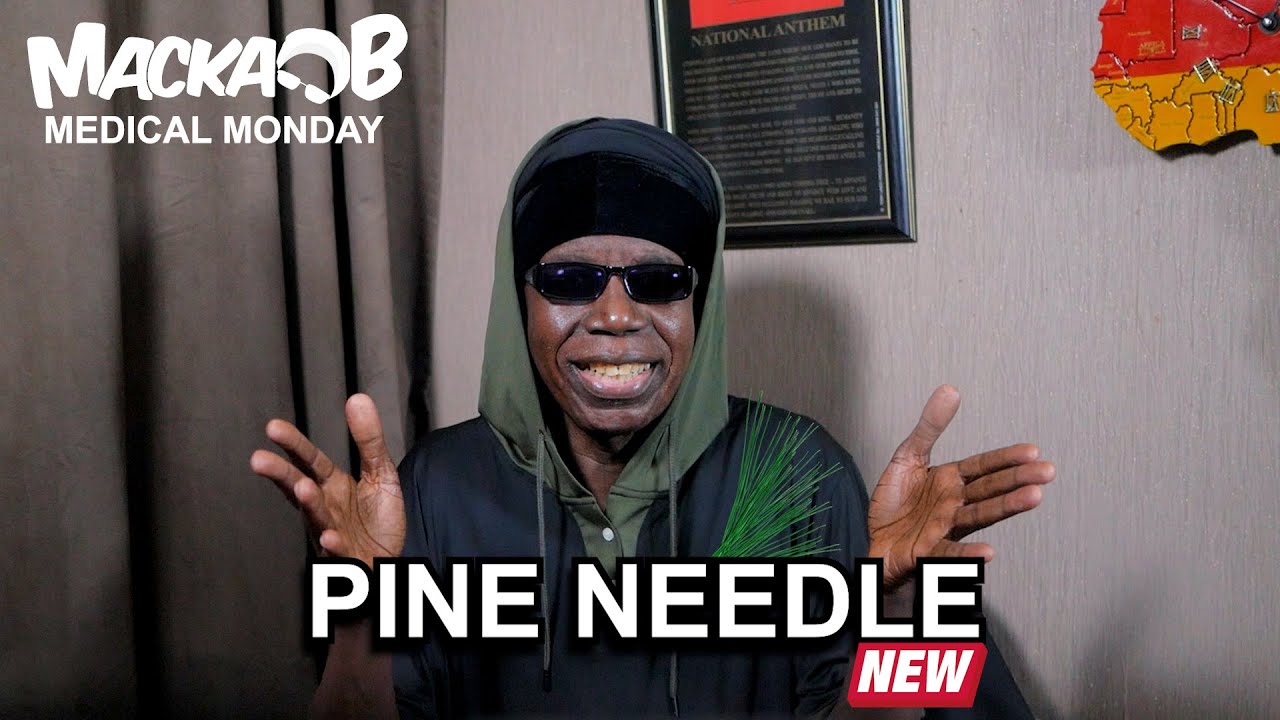 ⁣Macka B Medical Monday 'Pine Needle'