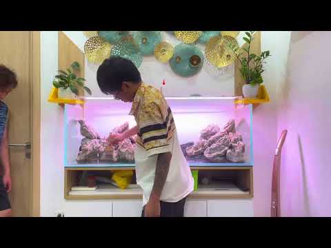 Video 120 x 40 x 40 full rock tại 5kaqua - youtube