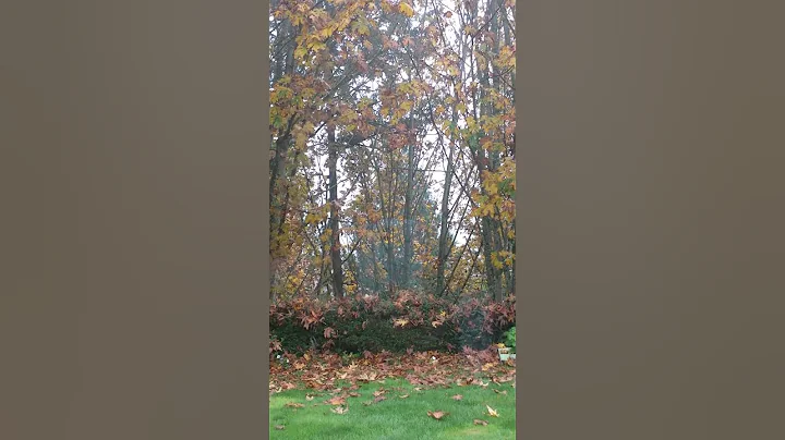 20131024_112042....