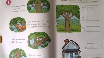 Unit 2   Lesson 1   Part 1 Video