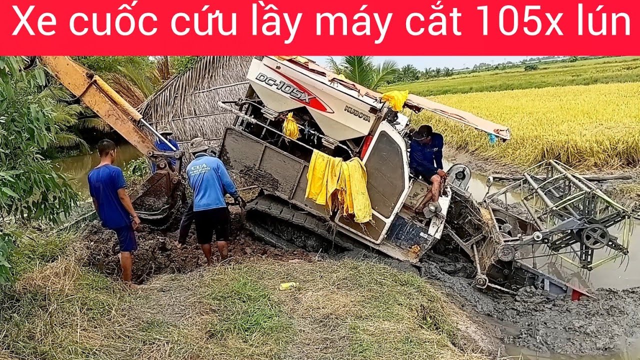 Xe cuốc cứu lầy máy cắt lúa DC105X khi thu hoạch lúa đồng vuông tôm cà mau