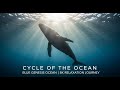 Blue Genesis Ocean – The Eternal Flow | Relaxing Underwater 8K Cinematic