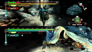 Monster Hunter Tri Arena splitscreen Lagi