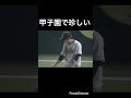 甲子園で珍しいシーン!#shorts #プロ野球 #阪神タイガース #甲子園