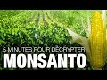 5 minutes pour dcrypter monsanto