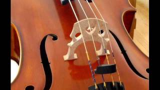 Video thumbnail of "Domenico Zipoli Adagio per oboe, cello, organo e orchestra"