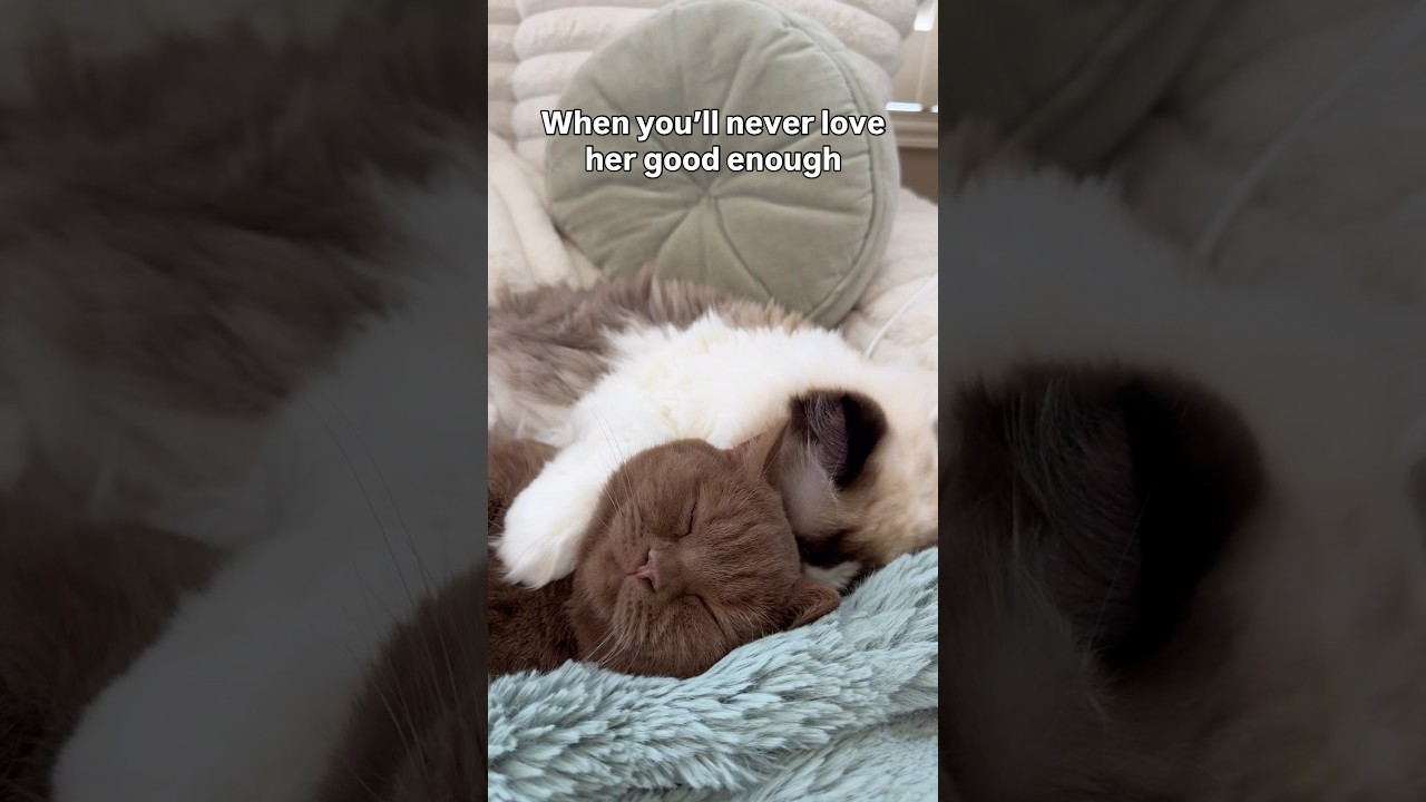 If it ain’t love like this I don’t want it