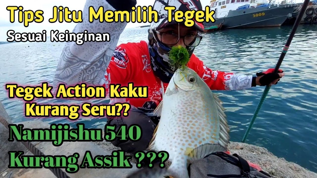 Как правильно выбрать удочку для ловли Baronang 