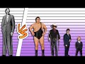 Robert Wadlow Height Comparison