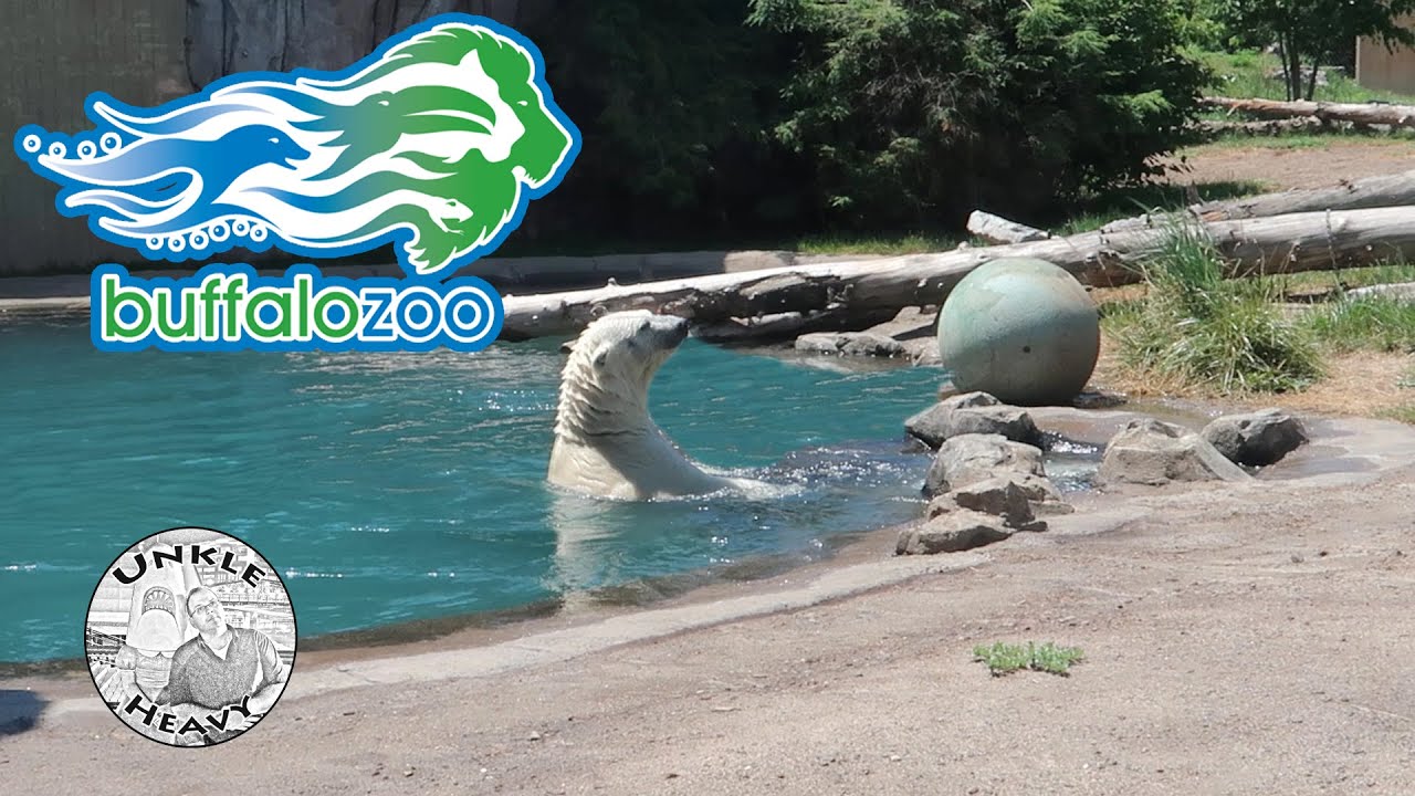 Buffalo Zoo Buffalo, NY Reopened / First Visit Back YouTube