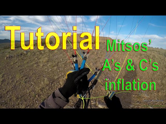 PG Tutorial: Mitsos' (A's and C's) for Reverse Inflation class=