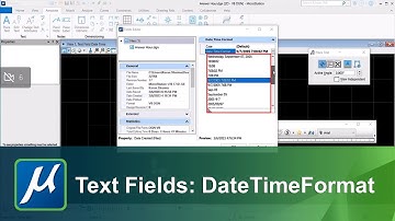 Text Fields -  Date, Time, Format