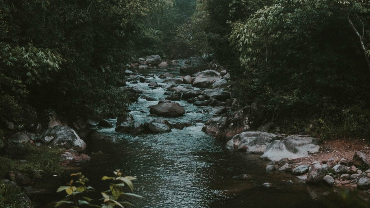 5 Hours Gentle River Sounds | Relaxing Nature Ambience | Water Sounds for Sleep