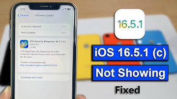iOS 16.5.1 (c) Security Response Not Showing on iPhone