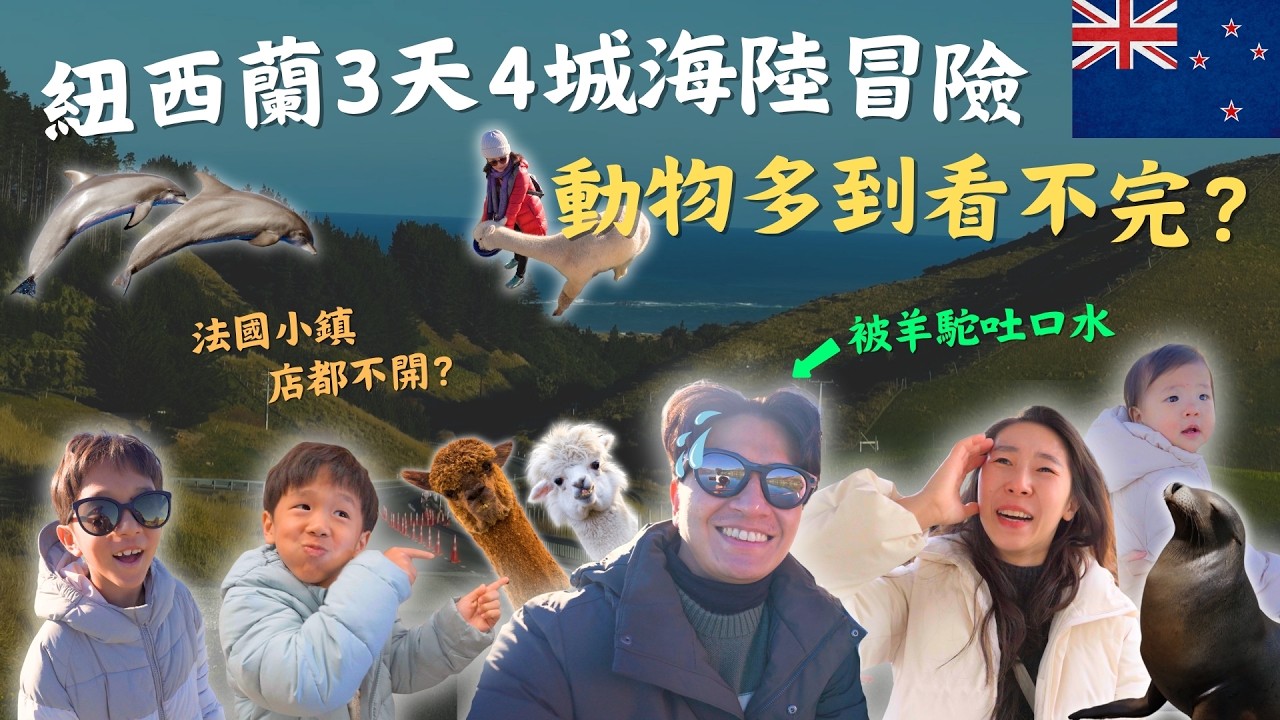 【紐西蘭南島親子旅遊】滿滿海狗寶寶聚眾,大自然畫面超衝擊!近100%可以看到鯨魚的地方?!居然還有機會跟海豚共遊?!|鷹式一家Vlog #紐西蘭旅遊 #紐西蘭南島 #凱庫拉 #Akaroa #親子旅遊 縮圖