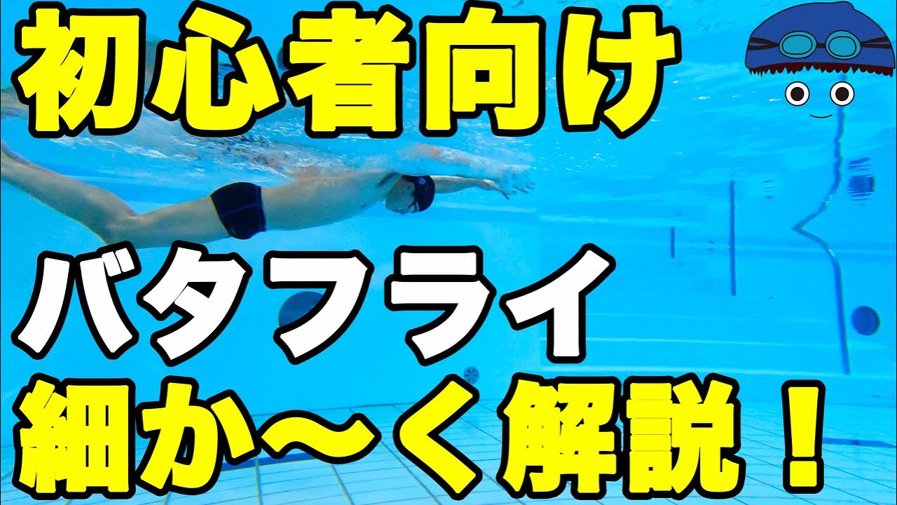バタフライ 超初心者向き ポイント解説 水中 水上 スロー映像で Youtube