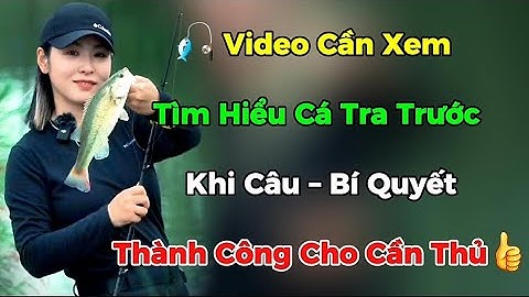 🎣 Video Cần Xem - Tìm Hiểu Cá Tra Trước Khi Câu – Bí Quyết Thành Công Cho Cần Thủ | Câu Cá 24H
