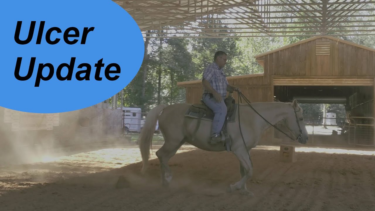 Last week she showed signs of stomach ulcers