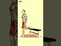 ➜ No More Excuses ➜ Day 3 - 1 Week Get Rid of Saddlebags Naturally at Home – No Equipments