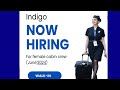 Cabin Crew walk in interview June 24 in Indigo Airlines