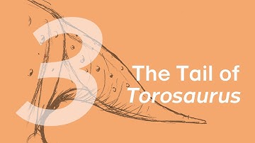 03 The Tail of Torosaurus | Join ZHAO Chuang in Drawing Torosaurus Aubrey & Dabei