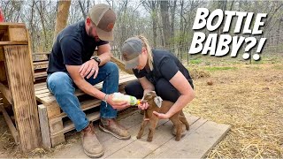 We got HER....12 hours later THIS happened!