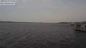 Steinhatchee.com - YouTube