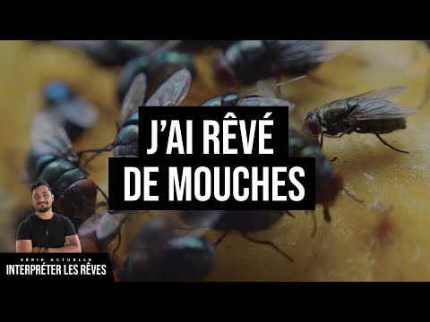 Vidéo: Pourquoi les mouches rêvent-elles dans un rêve pour une femme et un homme