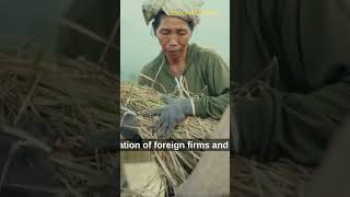 Download Lagu How Dutch and Japanese Rule Shaped Indonesia Before Independence MP3